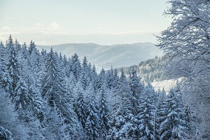 Krynica-zdroj